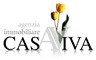 www.casavivaimmobiliare.it